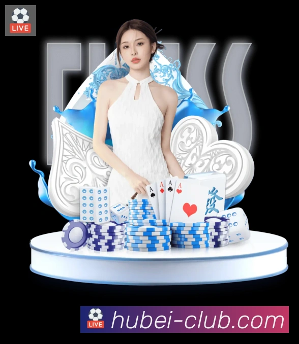 多彩内容专区